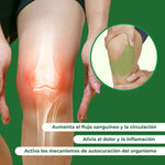 PARCHES PARA DOLOR DE ARTICULACIONES CAJA x 10